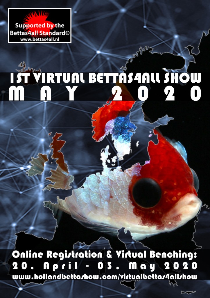 Poster-VirtualBettas4allShow